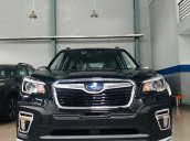 Bán Subaru Forester sản xuất năm 2019, màu đen, nhập khẩu