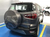 "Siêu ưu đãi" Ford Ecosport Titanium - giảm trực tiếp 53 triệu - giảm 50% thuế lệ phí trước bạ