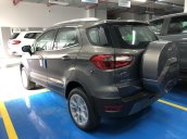 "Siêu ưu đãi" Ford Ecosport Titanium - giảm trực tiếp 53 triệu - giảm 50% thuế lệ phí trước bạ