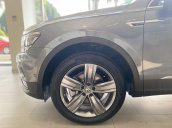 Khuyến mãi đặc biệt cho xe Tiguan Luxury Topline màu xám | Ms Minh Thư VW Sài Gòn