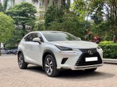 Lexus NX300 2018 màu trắng, nội thất đỏ