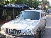 Bán Hyundai Terracan đời 2004, màu bạc, nhập khẩu  