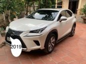 Bán Lexus NX sản xuất 2019, màu trắng, nhập khẩu nguyên chiếc còn mới