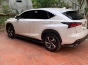 Bán Lexus NX sản xuất 2019, màu trắng, nhập khẩu nguyên chiếc còn mới