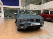 VW Tiguan Luxury S 2020 bản full option cao cấp nhất, dành cho KH yêu thích sự hoàn hảo, đi off road cực đã