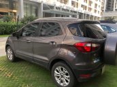 Cần bán gấp Ford EcoSport Titanium 1.5L 2016, màu xám còn mới