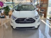 Bán xe Ford EcoSport sản xuất năm 2020, màu trắng