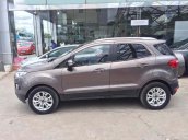 Bán Ford EcoSport Titanium 1.5L AT 2016, màu nâu còn mới, giá tốt