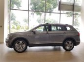 Bán Volkswagen Tiguan Luxury đời 2020, màu xám, nhập khẩu