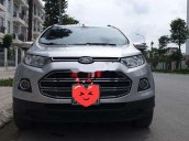 Cần bán gấp Ford EcoSport đời 2015, màu bạc, giá cạnh tranh