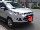 Cần bán gấp Ford EcoSport đời 2015, màu bạc, giá cạnh tranh