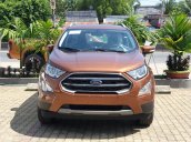 Bán ô tô Ford EcoSport sản xuất năm 2020