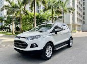 Cần bán gấp Ford EcoSport đời 2017, xe nhập còn mới giá cạnh tranh