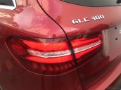 GLC 300 siêu lướt xe Cty Haxaco sử dụng - duy nhất 1 xe, bảo hành đến 2023, tiết kiệm đến 200 triệu