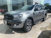 Cần bán xe Ford Ranger Wildtrak 3.2 4x4 AT năm 2016, nhập khẩu nguyên chiếc như mới, giá chỉ 700 triệu