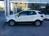 Western Ford bán Ford EcoSport Titanium đời 2014, màu trắng, 4 vỏ mới thay