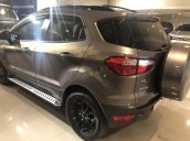 Bán Ford EcoSport Titanium sản xuất năm 2017 còn mới