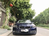 Chính chủ bán BMW 5 Series 520i năm 2016, xe nhập, đi ít, giữ gìn cẩn thận