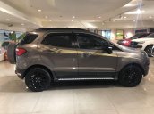 Bán Ford EcoSport Titanium sản xuất năm 2017 còn mới