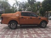 Cần bán Ford Ranger năm 2016, nhập khẩu còn mới, giá chỉ 695 triệu