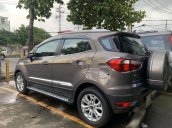 Cần bán xe Ford EcoSport năm 2016, giá cạnh tranh