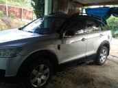 Bán ô tô Chevrolet Captiva sản xuất năm 2007, màu bạc, nhập khẩu nguyên chiếc còn mới, giá chỉ 260 triệu