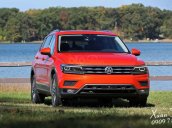 Tiguan Offroad 2020 - Tiguan luxury S 2020 phiên bản offroad đặc biệt