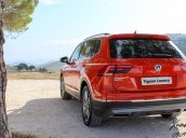 Tiguan Offroad 2020 - Tiguan luxury S 2020 phiên bản offroad đặc biệt