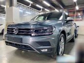 Bán Tiguan Luxury S 2021 màu xám (6 màu giao ngay) 2020 - Sài Gòn