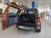 Ford Ecosport 2020 lăn bánh 174tr trọn bộ