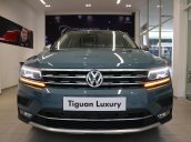 Xe SUV nhập khẩu 7 chỗ dành cho gia đình - VW Tiguan Luxury, màu xanh độc lạ - xe nhập - giảm 120tr