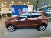 Cần bán xe Ford EcoSport năm 2020, động cơ mạnh mẽ