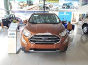 Cần bán xe Ford EcoSport năm 2020, động cơ mạnh mẽ