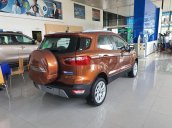 Cần bán xe Ford EcoSport năm 2020, động cơ mạnh mẽ