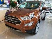 Cần bán xe Ford EcoSport năm 2020, động cơ mạnh mẽ