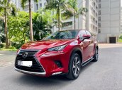 Lexus NX300 màu đỏ sản xuất và đăng kí 12/2018, biển HN