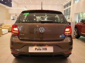 Volkswagen Polo Hatchback màu nâu hổ phách cho khách hàng mệnh thổ - giá chỉ 695 triệu