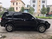 Cần bán lại xe Ford Escape đời 2010, màu đen còn mới