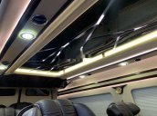 Cần bán Ford Transit Limousine đời 2017, màu đen