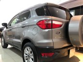 Bán xe Ford EcoSport Titanium năm sản xuất 2016, màu xám 