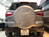 Bán xe Ford EcoSport Titanium năm sản xuất 2016, màu xám 