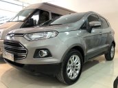 Bán xe Ford EcoSport Titanium năm sản xuất 2016, màu xám 