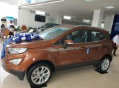 Cần bán xe Ford EcoSport sản xuất năm 2020 - giá xe tốt - ưu đãi khủng