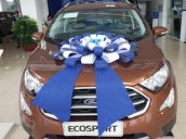 Cần bán xe Ford EcoSport sản xuất năm 2020 - giá xe tốt - ưu đãi khủng