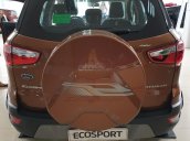 Cần bán xe Ford EcoSport sản xuất năm 2020 - giá xe tốt - ưu đãi khủng