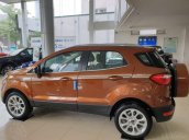 Cần bán xe Ford EcoSport sản xuất năm 2020 - giá xe tốt - ưu đãi khủng