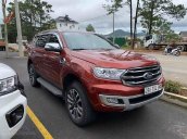 Cần bán Ford Everest sản xuất năm 2019, màu đỏ, nhập khẩu  