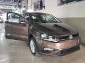 Bán gấp chiếc Volkswagen Polo Hatchback năm sản xuất 2020,  xe nhập