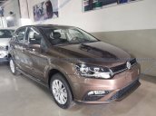 Bán gấp chiếc Volkswagen Polo Hatchback năm sản xuất 2020,  xe nhập