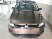 Bán gấp chiếc Volkswagen Polo Hatchback năm sản xuất 2020,  xe nhập